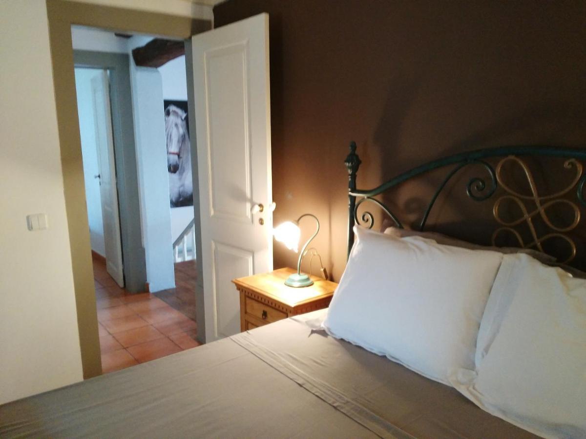 Quinta Do Outeiro Bed & Breakfast Vila Nova de Poiares Eksteriør bilde