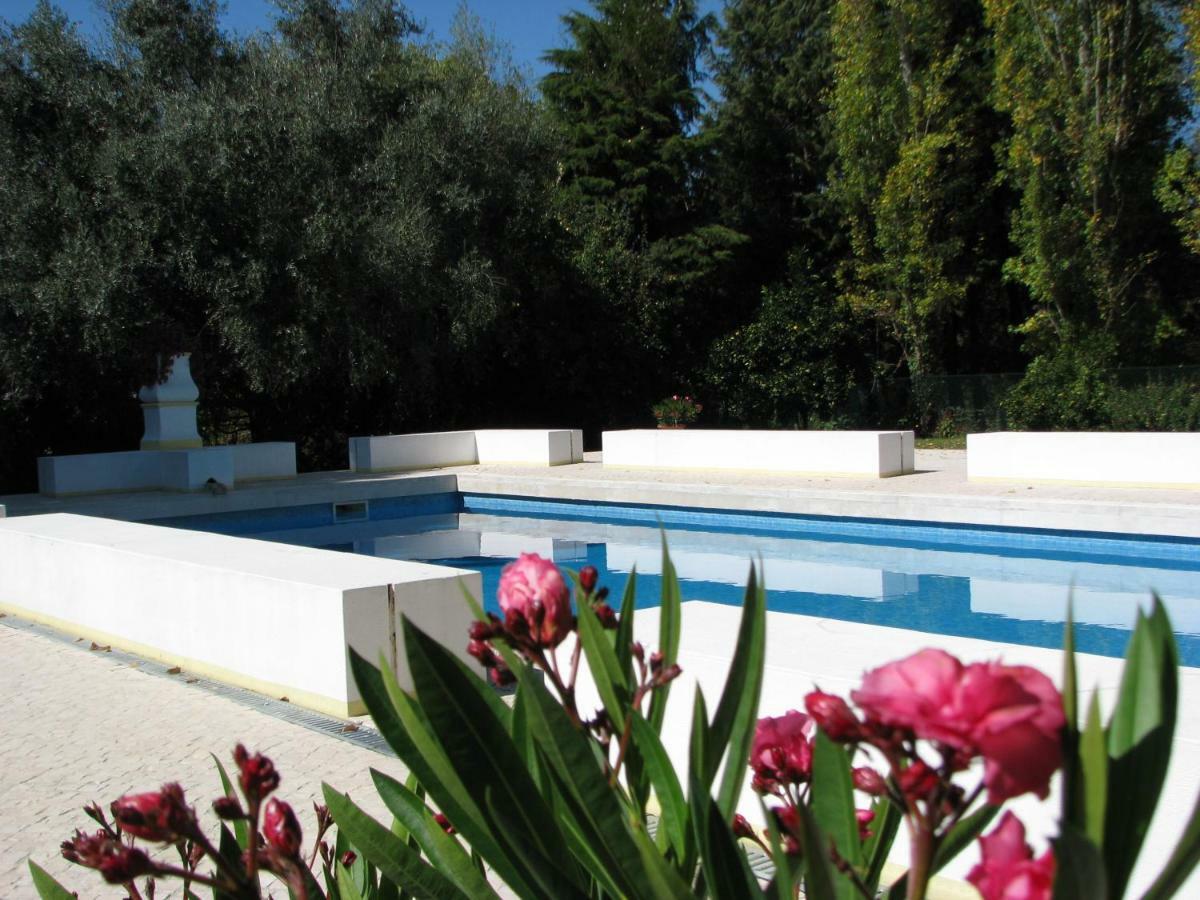 Quinta Do Outeiro Bed & Breakfast Vila Nova de Poiares Eksteriør bilde