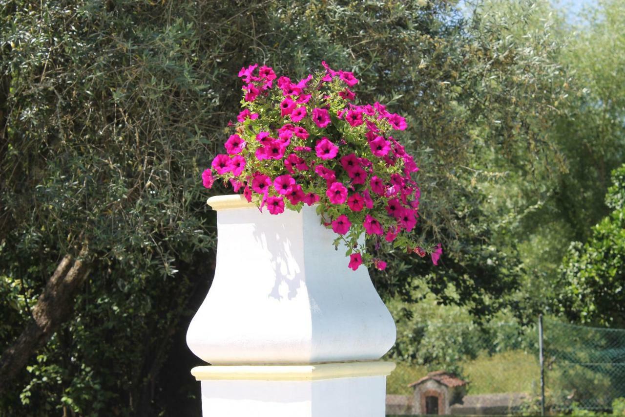 Quinta Do Outeiro Bed & Breakfast Vila Nova de Poiares Eksteriør bilde